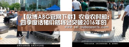 【欧博ABG官网下载】农业农村部：四季度活猪价格将会突破20