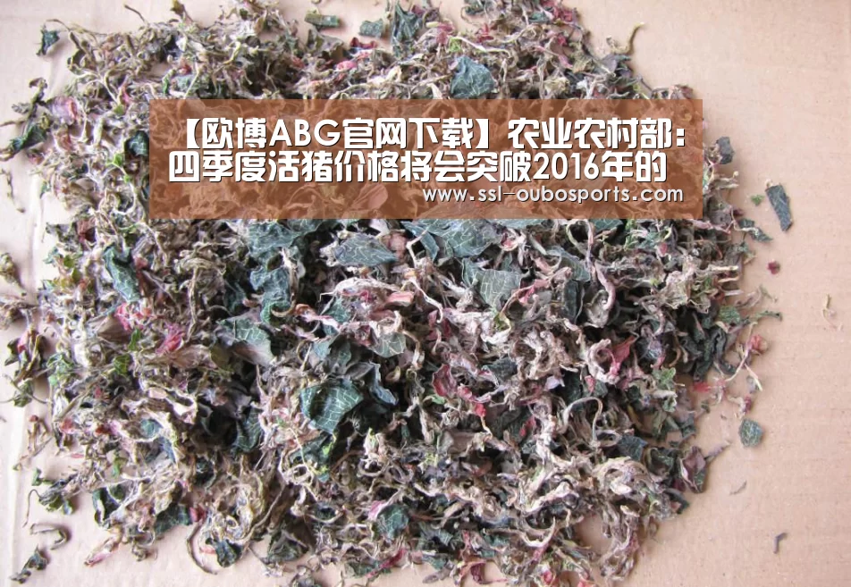 【欧博ABG官网下载】农业农村部:四季度活猪价格将会突破2016年的历史高点(图3) 欧博ABG在线娱乐城