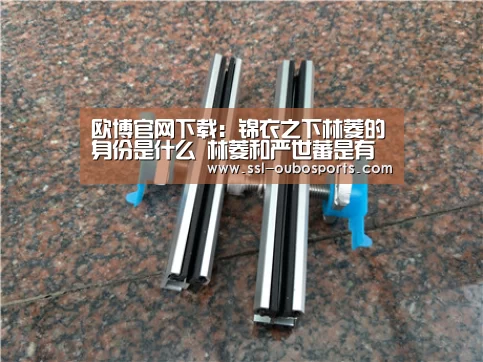 欧博官网下载:锦衣之下林菱的身份是什么 林菱和严世蕃是有仇吗(图3) 欧博官网下载