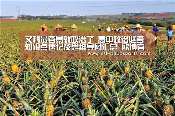 
文科最容易就政治了 高中政治必考知识点速记及思维导图汇总_