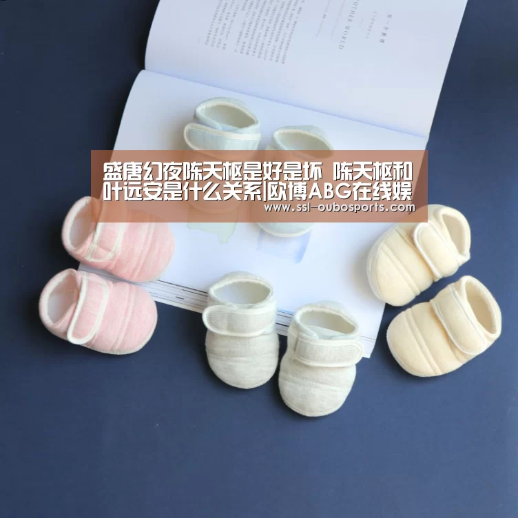 盛唐幻夜陈天枢是好是坏 陈天枢和叶远安是什么关系|欧博ABG