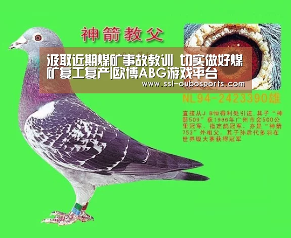 汲取近期煤矿事故教训 切实做好煤矿复工复产|欧博ABG游戏平
