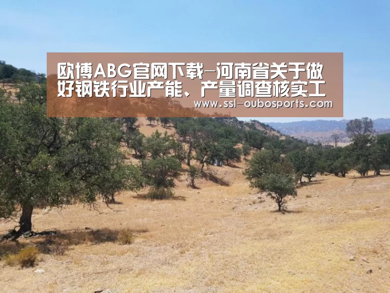 欧博ABG官网下载-河南省关于做好钢铁行