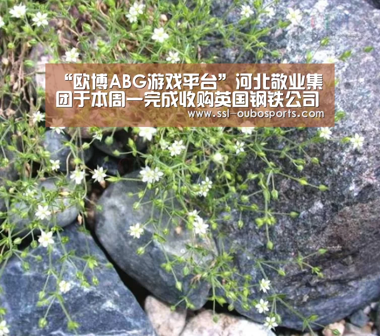 “欧博ABG游戏平台”河北敬业集团于本周一完成收购英国钢铁公司(图4) 欧博ABG官网下载