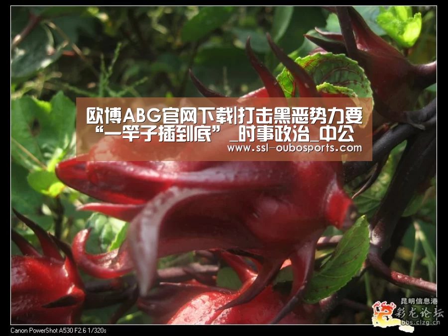 欧博ABG游戏平台