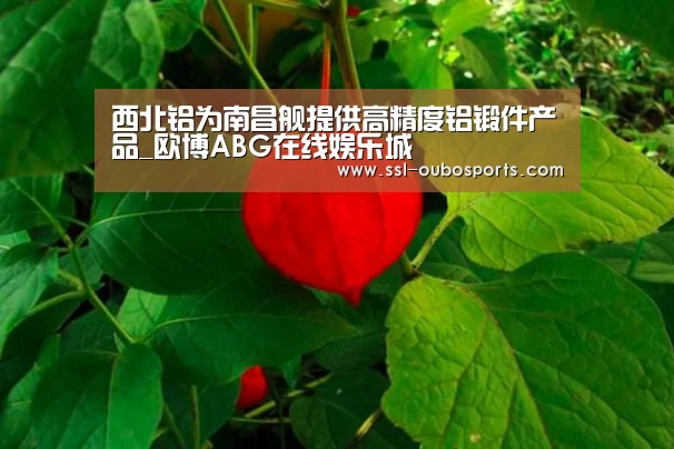 西北铝为南昌舰提供高精度铝锻件产品_欧博ABG在线娱乐城